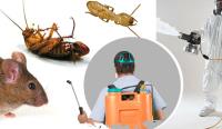 Residential Pest Control Perth image 1